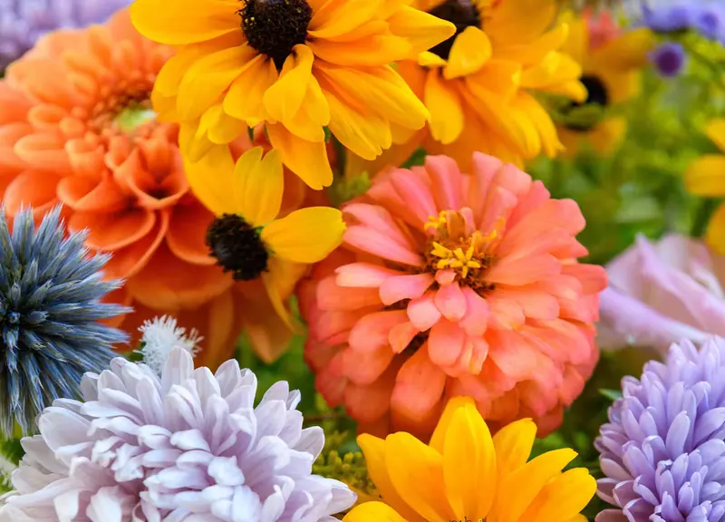 Breen's Florist