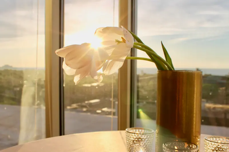 Penthouse Events CLE, photo 1