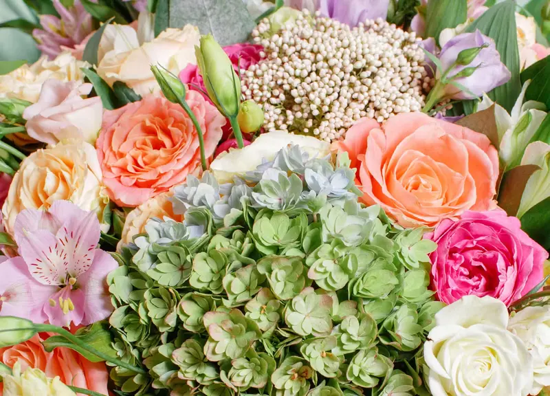Walter Knoll Florist